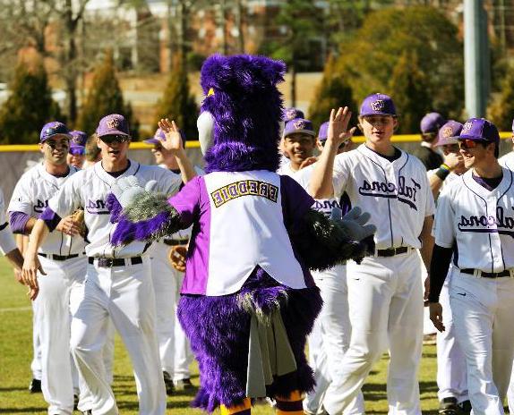 Freddie the Falcon greets the University of Montevallo baseball team on the field.